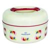 Plastic Casserole