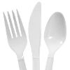 Plastic Utensil