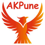 A K Enterprises Logo