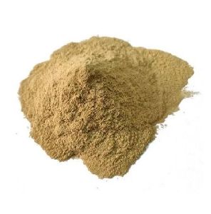Kapoor Kachri Powder
