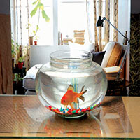 Glass Potpourri Bowl